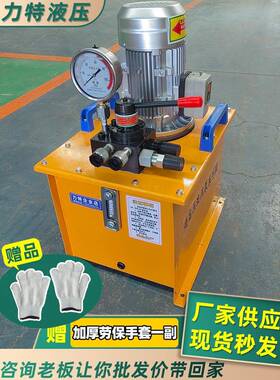 液压泵站系统总成220V380V小型试压泵站定制DSS超高压液压电动泵