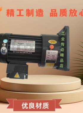 ZF22 200:1 YS0.1KW-4P ZHIBAO MOTOR电机