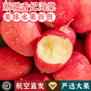 新疆香妃海棠果阿克苏鸡心小苹果脆甜水果新鲜当季 整箱2025年沙果
