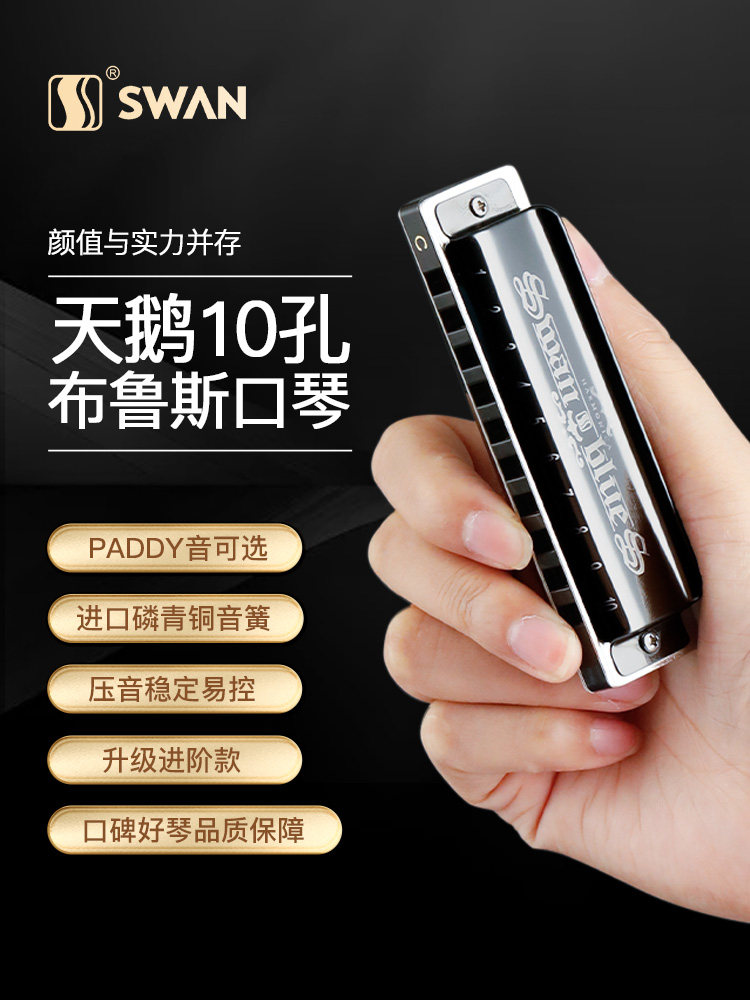 天鹅布鲁斯口琴10孔C调儿童初学者入门专业十ag蓝调正品paddy调音