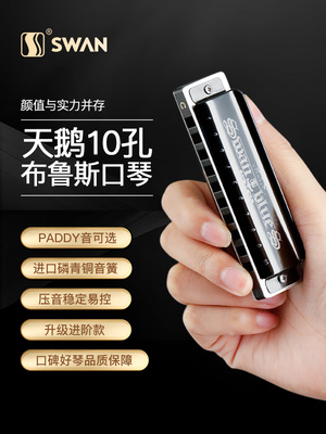 天鹅布鲁斯口琴10孔C调儿童初学者入门专业十ag蓝调正品paddy调音