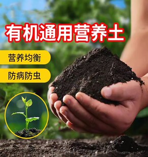 泥炭土大包水培盆石头石子营养土种植土种菜花卉花泥肥料复合肥