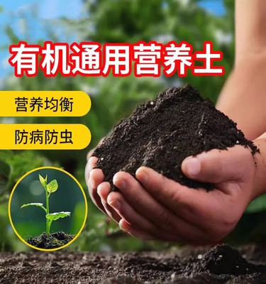 泥炭土营养土种植土花泥