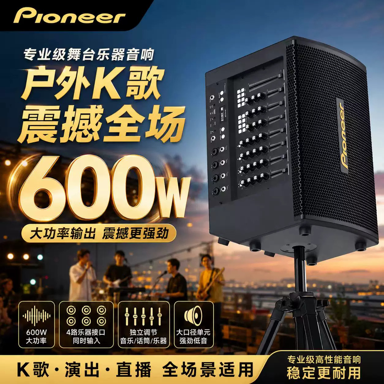Pioneer先锋专业级户外K歌音响大功率卡拉OK舞台演出KTV乐器音箱