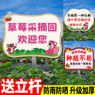 可插地款式草莓采摘园广告牌文明采摘告示牌请勿踩踏农场种植园警示标语标牌采摘园温馨提示牌方向指引广告牌