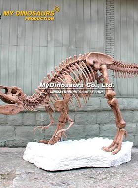博物馆景区公园装饰恐龙骨架 恐龙仿真骨骼玻璃钢材料化石模型