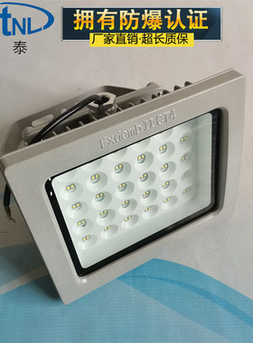 方形免维护LED防爆灯 50W60W70W80W 灰色 防爆泛光灯 工厂照明灯