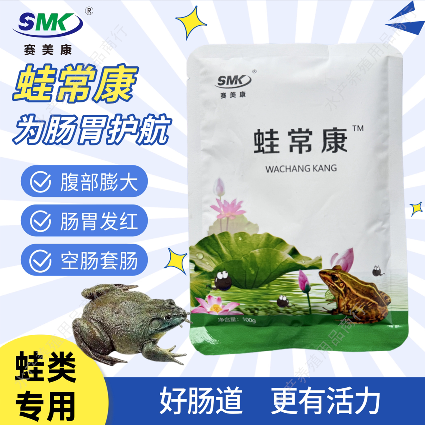 赛美康蛙常康蛙蝌蚪肠胃发红大肚图片
