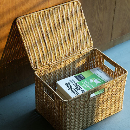 闲储轻奢收纳箱家用衣橱衣服整理箱玩具储物箱子大号储物盒