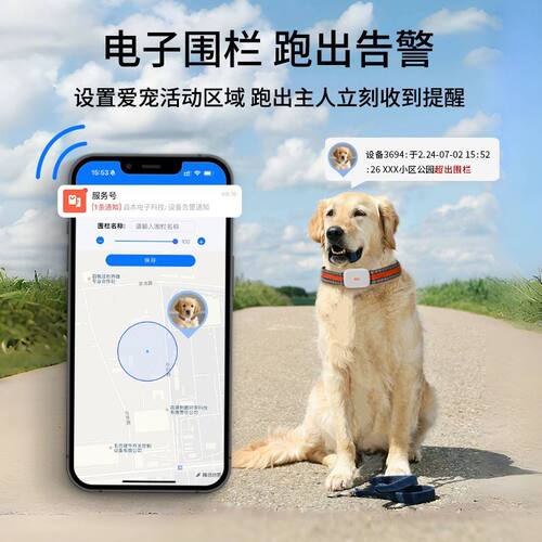 狗狗防丢定位器宠物猫咪G