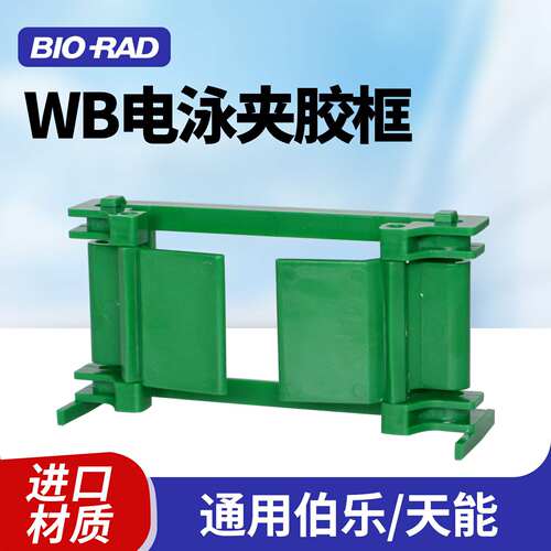 伯乐bio-rad wb制胶架western电泳制胶框夹胶框制胶支架1653304