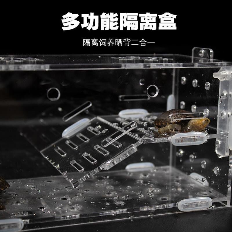 鱼缸内乌龟隔离盒发色盒内亚克力悬浮晒台吸盘孵化器白色透明红面图片