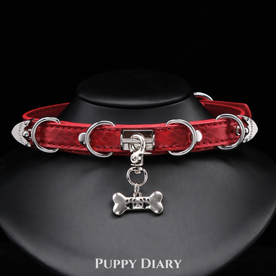 Puppy*情侣项圈choker女蛇纹亚文化脖圈牵引链小众礼物可刻字