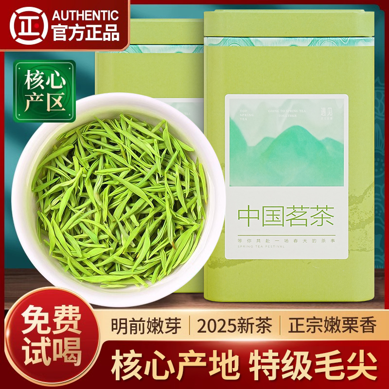 陈一元2025毛尖绿茶新茶上市正宗嫩芽手工毛尖明前特级浓香型送人