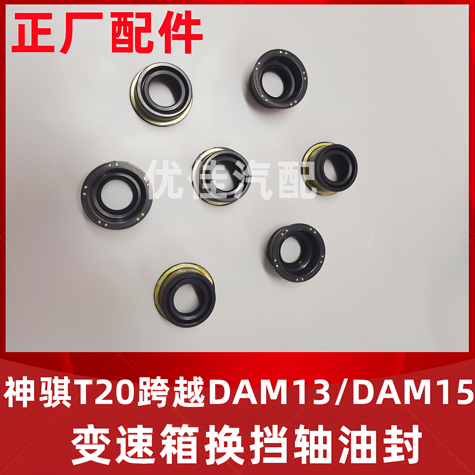 神骐T20跨越DAM13/DAM15换挡油封