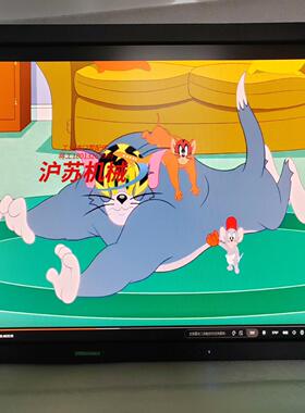 EIZO FlexScan S2433W