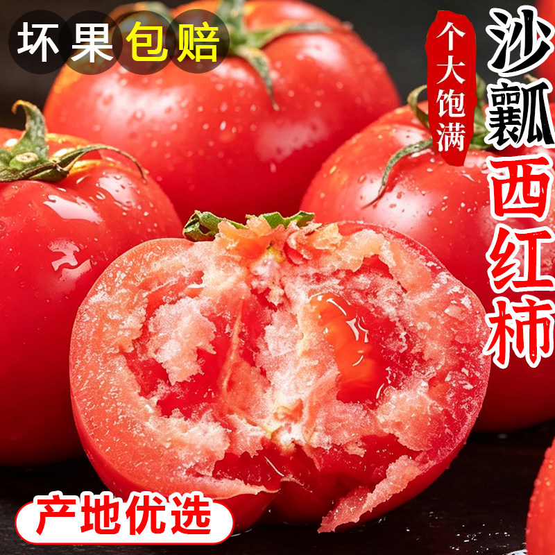 攀枝花西红柿新鲜自然熟高山露天种植农家蔬菜老品种有籽沙瓤番茄