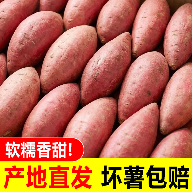 新鲜蜜薯9斤板栗红薯农家自种西瓜红糖心沙地红心番薯地瓜