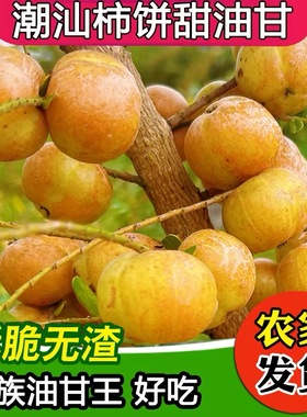 新鲜油甘果5斤余甘果牛甘子当季现摘油柑滇橄榄柿饼甜水果包邮10