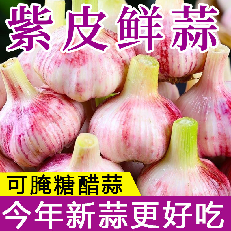 2026年 新鲜大蒜头 现挖新蒜河南大蒜腌制糖醋蒜嫩蒜子 杞县大蒜
