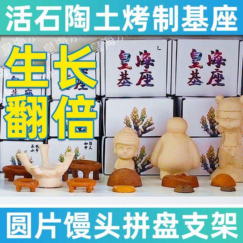 皇海角水硬族珊基座纽扣瑚繁殖底座骨断枝瓦片拼盘四脑支架海UHU