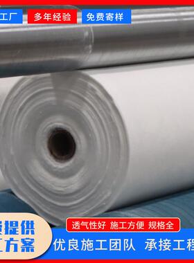 源护头工厂河道坡用土工白色加筋TVO长布丝土工布卷聚材酯长丝土