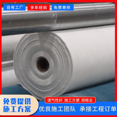源护头工厂河道坡用土工白色加筋TVO长布丝土工布卷聚材酯长丝土
