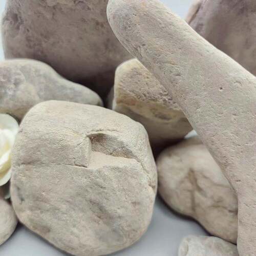 厂家供应菌溪流沙净化水质硝铺化细鱼缸爬宠植造景物082盆景面规