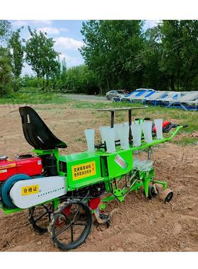 行两蔬菜幼苗栽机 卉座驾式蔬菜苗栽种机 自走式花育移XWG苗种植