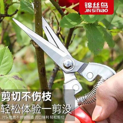 不锈钢稀果剪水果花枝花卉剪刀葡萄剪花椒剪摘花摘果剪刀树枝修剪