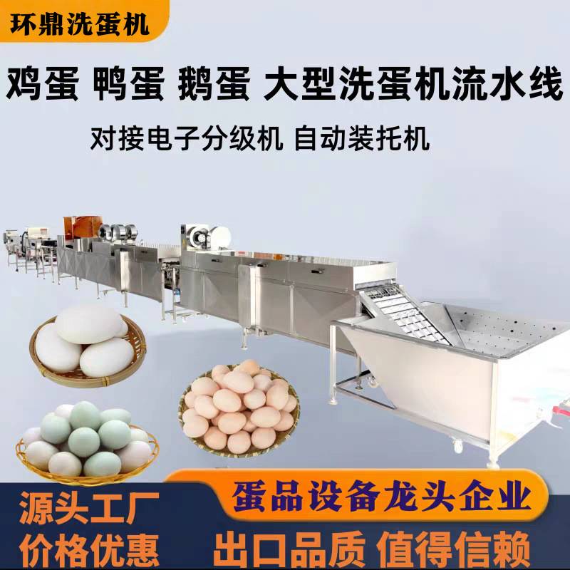 商用洗蛋机流水线 养殖场泥蛋粪蛋泥鸭蛋洗蛋机 蛋品保鲜保洁蛋