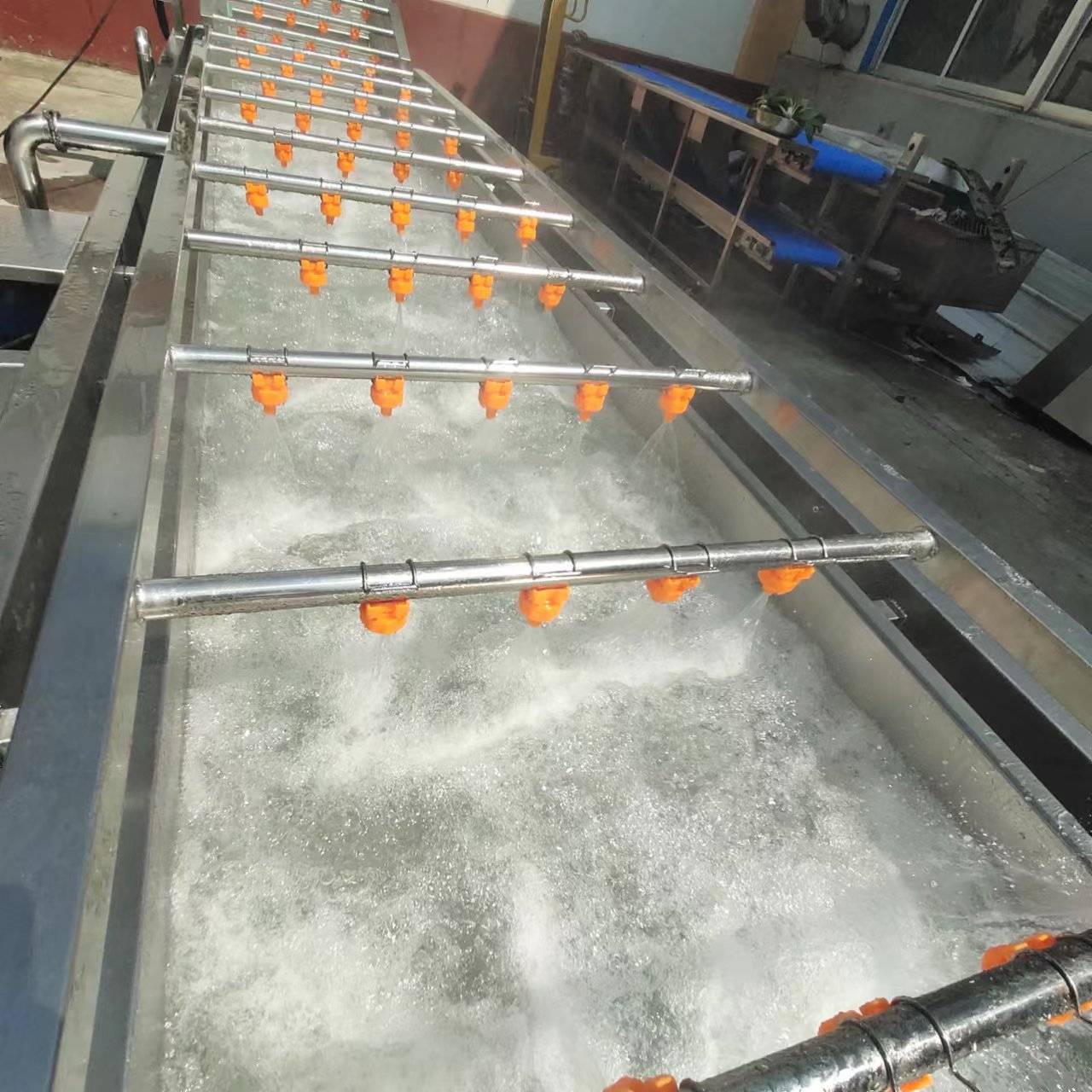 商用全自动气泡喷淋苹果清洗机  臭氧天麻药材清洗去泥机 星科