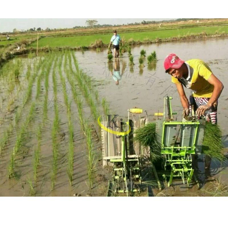 高档水稻栽苗补苗机小型手动两行水稻人力手摇式插秧机水稻插秧机