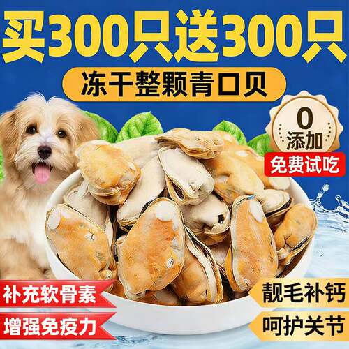 抢！买300只送300只冻干青口贝