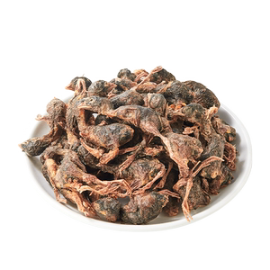 狗狗零食鹌鹑冻干猫咪零食增肥宠物狗猫粮发腮生骨肉磨牙补钙鹌鹑