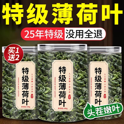 薄荷叶干新鲜食用凉茶清热降火解去火毒的茶包下火中药材排毒养肝
