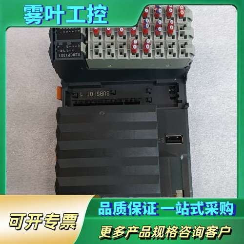 贝加莱X20 CP 1301 PLC模块，型号IF2:00-【议价】