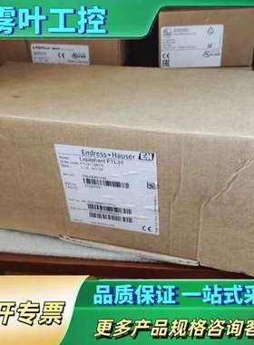 E+H恩德斯豪斯FTL31-AA4M3BAWBJ，FTL31【议价】