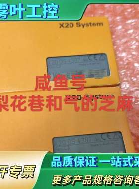 X20DS4387  贝加莱模块正品，欢迎咨询，快递【议价】