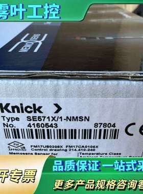 Knick SE571X/1-NMSN pH传感器，【议价】