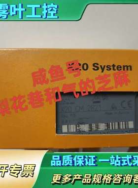 X20CM2821  贝加莱模块正品，欢迎咨询，快递【议价】