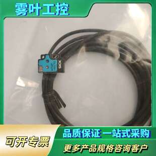 议价 N170 传感器WT2F