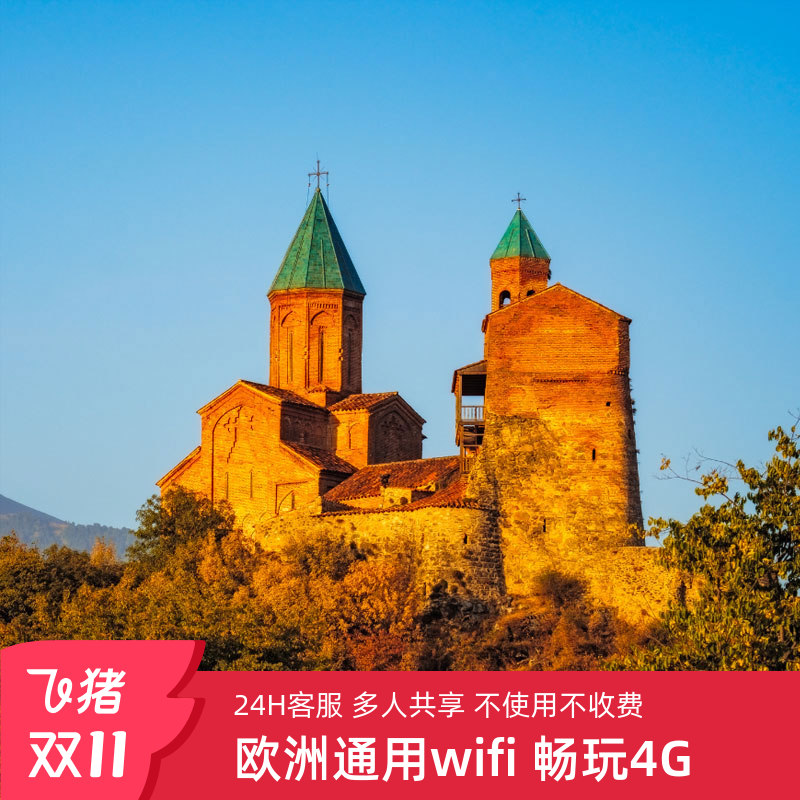 意大利威尼斯罗马随身WIFI4G