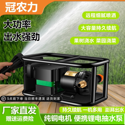 充电式农业抽水泵大流量高扬程