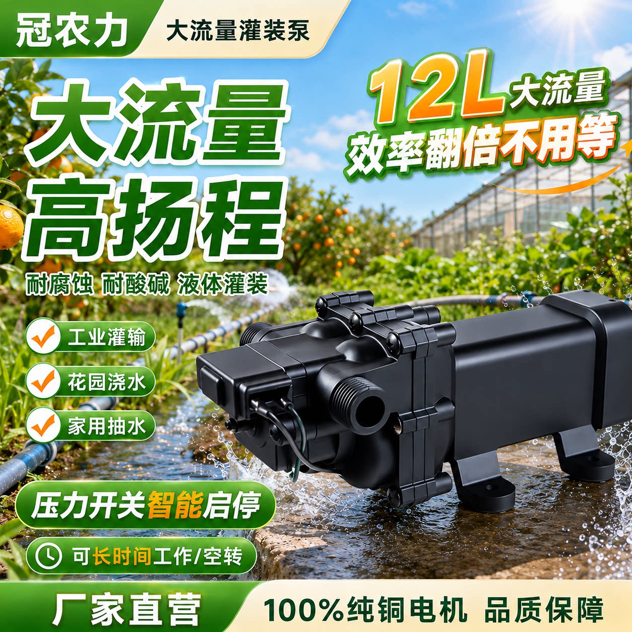 君悦大流量耐腐蚀12V24V浇水神器图片