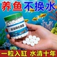 超浓缩硝化细菌鱼缸净水剂清洁去黄水绿水浑水净化水质鱼缸净水剂