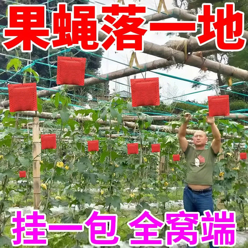 强效灭针蜂果实蝇香精包苍蝇大小实蝇悬挂药包瓜果菜园果蝇信息素