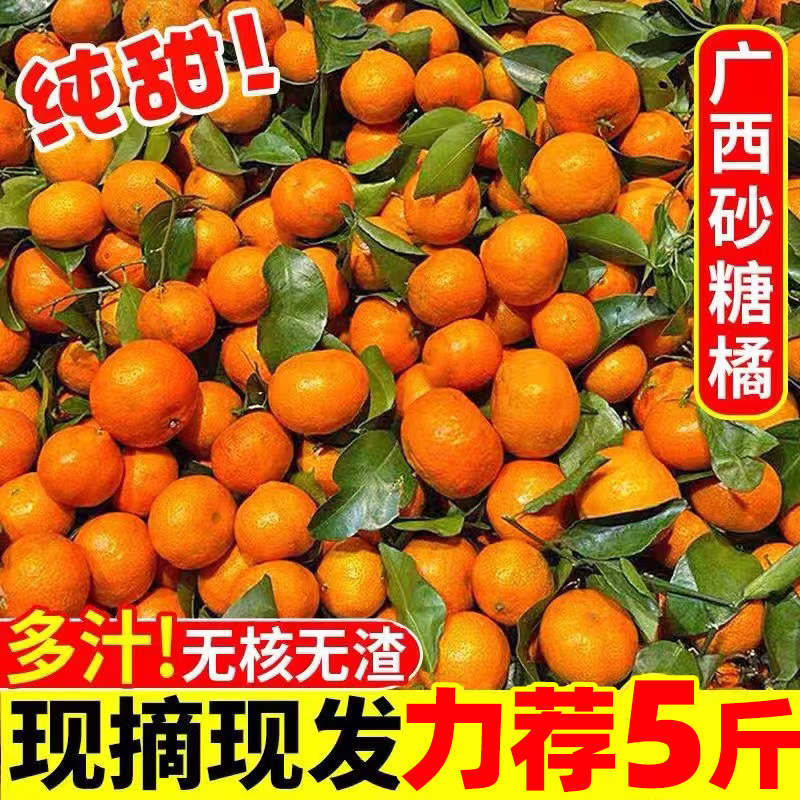 砂糖橘整箱5斤广西沙糖桔新鲜小橘子无籽蜜桔纯甜柑橘水果应当季