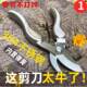 修枝剪不锈钢剪枝剪刀枝剪家用修剪树枝剪刀多功能果树园林花艺剪