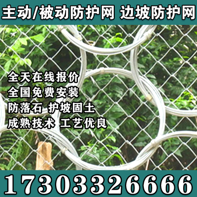 柒梦主动防护网被动环形防护网